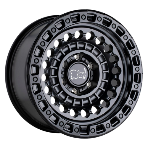 Rines-3